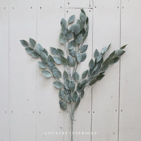 Dusty Green Eucalyptus Spray - 75cm