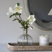 Faux Hellebore Spray in Warm White - 44cm