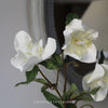 Faux Hellebore Spray in Warm White - 44cm