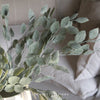 Dusty Green Eucalyptus Spray - 75cm