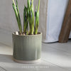 Two Tone Green Ceramic Plant Pot