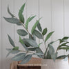 Green Leaf Spray - 100cm