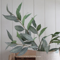 Green Leaf Spray - 100cm