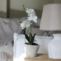 Faux White Orchid