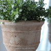 Huxley Terracotta Urn - Natural