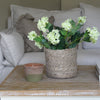Faux Snowball Viburnum Spray in Lime - 80cm