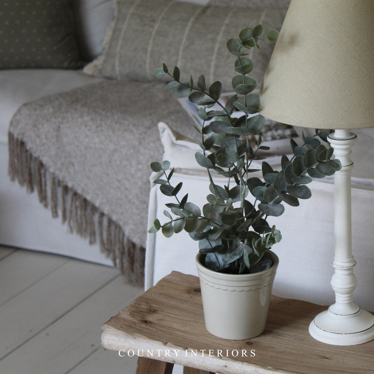 Faux Eucalyptus Plant in Soil