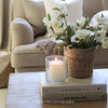 Faux Hellebore Spray in Warm White - 44cm
