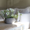 Faux Nigella Spray White - 65cm