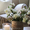 Faux Hellebore Spray in Warm White - 44cm