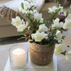 Faux Hellebore Spray in Warm White - 44cm
