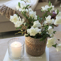 Faux Hellebore Spray in Warm White - 44cm