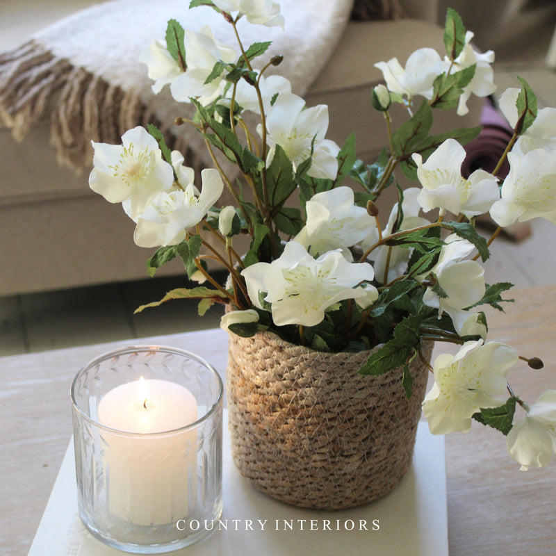 Faux Hellebore Spray in Warm White - 44cm